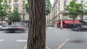A vous de voir - Djas Optique