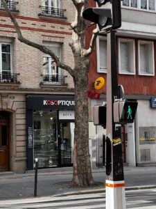 Kosoptique Paris