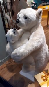 CLIN D'OEIL OPTICIENS