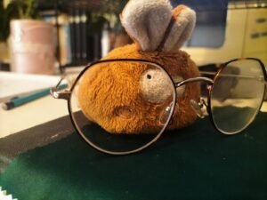 Opticien STRASBOURG RIVETOILE Générale d'Optique