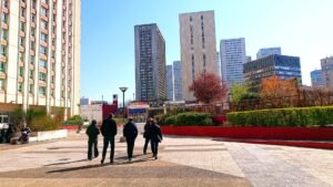 Optique PACCARD Les Olympiades