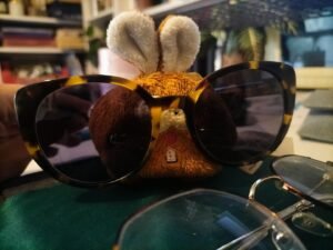 Opticien STRASBOURG RIVETOILE Générale d'Optique