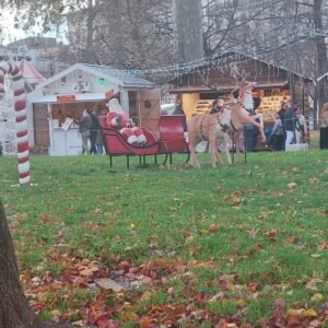 Opticien LYON - Perrache Optical Center