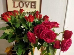 Optic Point 2000 - Opticien Montpellier