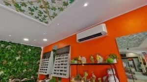 Optique Pont des Demoiselles