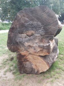 Écouter Voir Optique Mutualiste