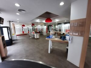 Écouter Voir Optique Mutualiste