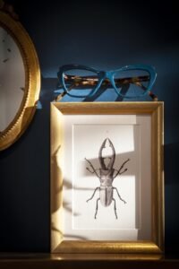 KLS-Lunettes Bellecour