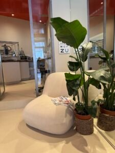 Rivet Opticien