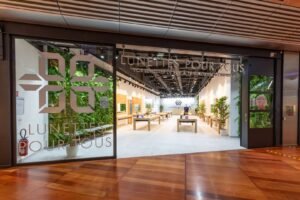 Lunettes Pour Tous Lille Euralille