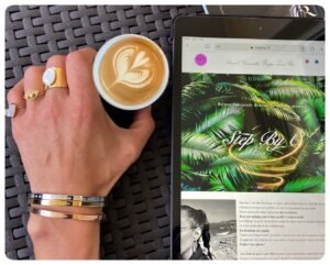 Veni Vidi Opticiens - L'Optique Stepanian