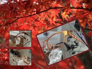 CONVIVIAL OPTIC OPTICIEN A DOMICILE