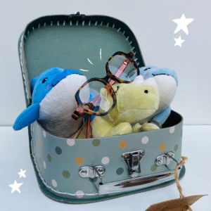 Opticien BINOCLE Orléans