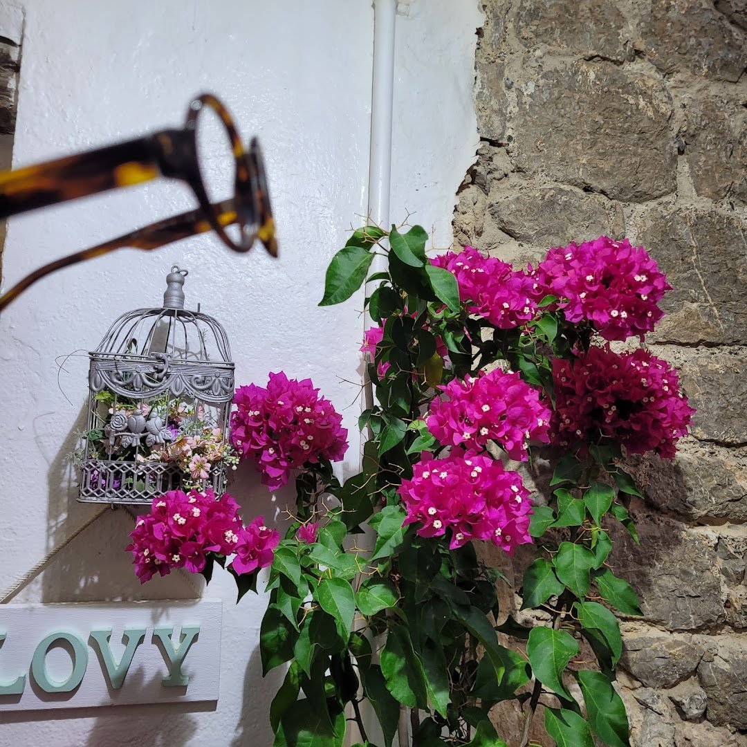 Opticien Plein La Vue Colombes