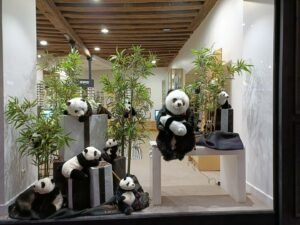 Opticien & audioprothésiste à Moulins - Boubée Optique