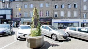 Écouter Voir Optique Mutualiste