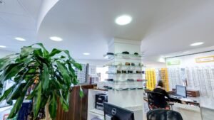 Écouter Voir Optique Mutualiste