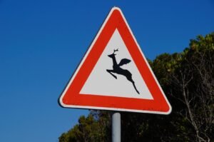 L'ENTREPOT A LUNETTES