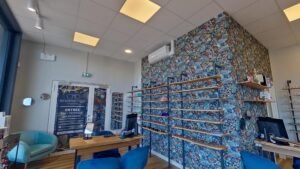 LES LUNETTES D'ALICIA