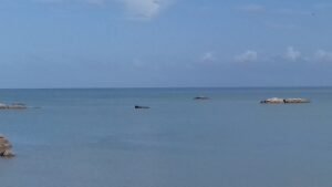 CENTRE OPTIQUE MEDICAL PASTEUR