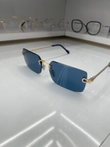 Maison de L’AudiO-Optique