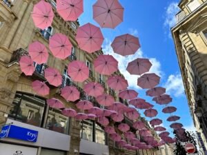 Opticien Brive-la-Gaillarde - St Martin - Krys