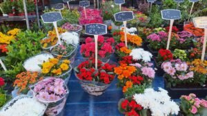 Opticien Boulogne-sur-Mer - Centre Ville - Krys