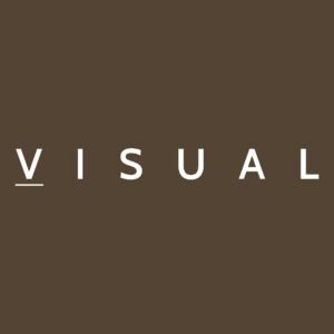 L'OPTICIEN VISUAL
