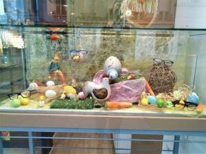 Opticien François Lecler Verdun