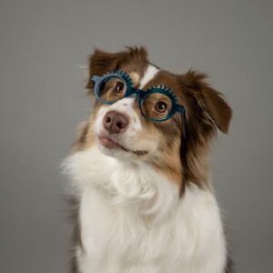 Le Romans des Lunettes｜Opticien-Créateur｜100% Fabrication Française
