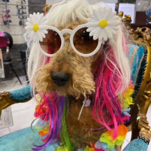 Optic Chic - Partenaire Expert Vision France - Service d’accès à l’ophtalmologie