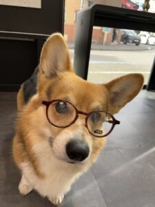 Opticien Le Blanc-Mesnil - Optic 2000