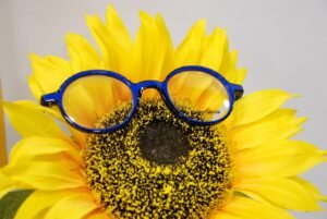 OPTIQUE 9 SOLEILS