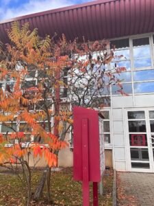 Optalor - Centrale d'achat des opticiens indépendants