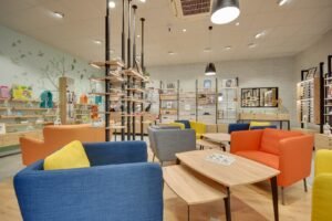 Opticien Denain - Pierres Blanches - Le Collectif des Lunetiers