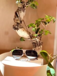 CONCEPT OPTIQUE ECULLY