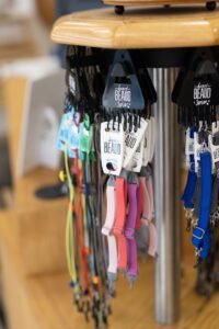 Opticien Bolbec - Rue Fauquet - Le Collectif des Lunetiers