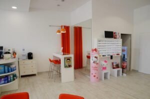 LES VIEILLES BRANCHES