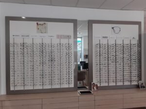 The Opticians Mutualistes