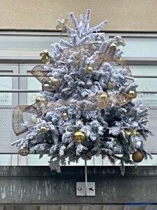 TRES EN VUES optique Carnoux