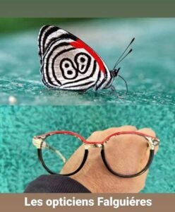 Les opticiens Falguiéres - Opticien La Roche-sur-yon