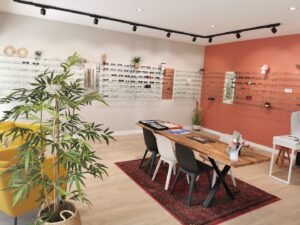 RDV optique / Raison D'y Voir