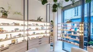 L'Opticien de Chantilly