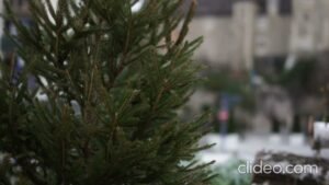 Le 7 Opticien Créateur