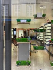 OPTIQUE CARNOT