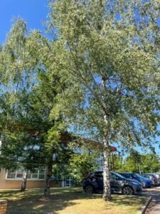 Optalor - Centrale d'achat des opticiens indépendants