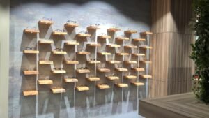 Oogzorgcentrum van der Ham optiek Hoogerheide