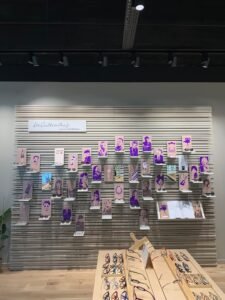 ACUITIS Opticien & Audioprothésiste Pau