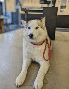 Opticien Saint-Mandé - Optic 2000