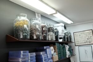 L'optique durable - Vos lunettes vintage 1to2pmclose